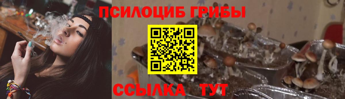 Галлюциногенные грибы ЛСД Славянск-на-Кубани